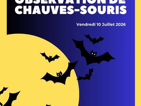 Soirée d'observation des chauves-souris