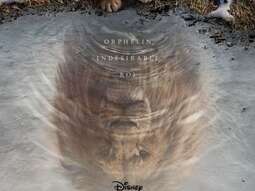 Cinétoiles 2026 - MUFASA - Froges
