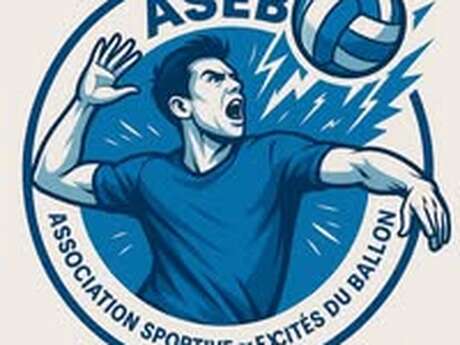 Tournoi de VOLLEYBALL en 4x4 mixte obligatoire