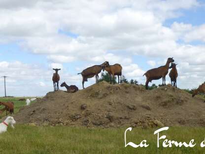 La Ferme des Cabretons