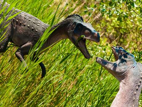 Visite de l'exposition "Au Temps des Dinosaures"