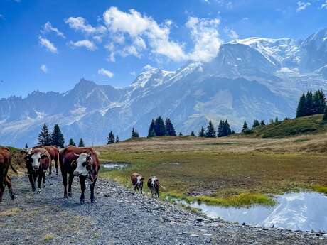 Le Tour de la Tête de Charme au départ du col de Voza
