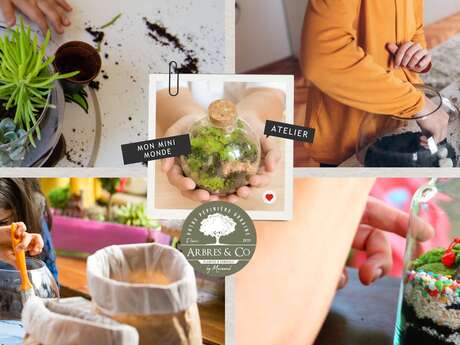 Atelier - Création d'un terrarium pour enfants
