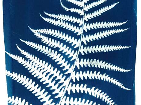 Impressions végétales : atelier cyanotype