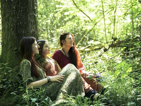 Balade ressourçante - Au cœur des arbres