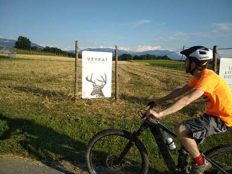 family mountain bike ride