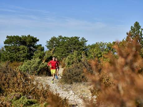 TV12 - Tête de l'Emine