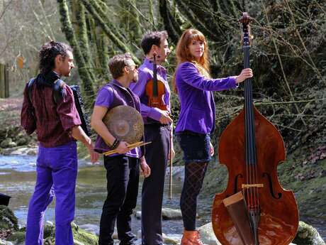 Concert du groupe "Fly by Night"