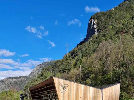 Film and round table discussion on pollination