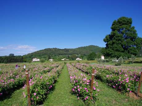 Le Clos de Callian