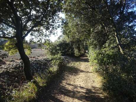 Entre bois et ravins