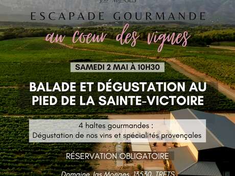 Escapade gourmande au cœur des vignes