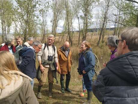 Balade découverte de la zone humide du Planas à Pujaut