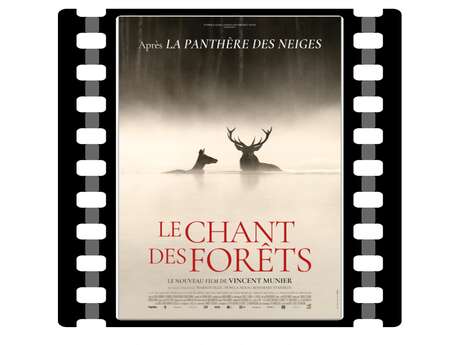 Cinéma : Le chant des forêts