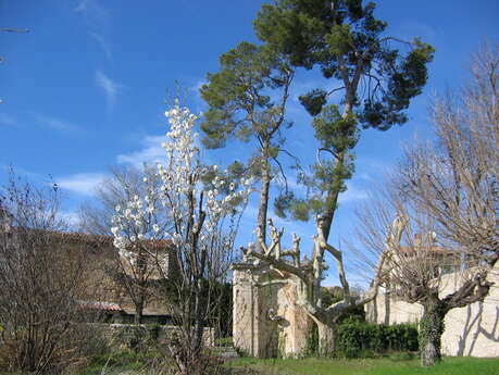 Large garden