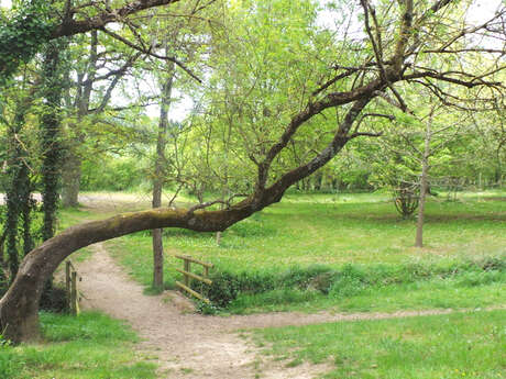 Arboretum de Charuau