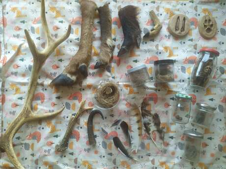 C'est à qui ? Enquête sur la piste forestière