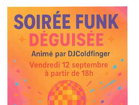 Soirée funk déguisée Soirée funk déguisée
