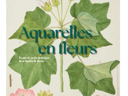 Exposition -Aquarelles en fleurs - Études du jardin botanique de la Marine de Toulon (Partie 1)