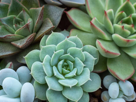 Atelier pratique : Structure insolite