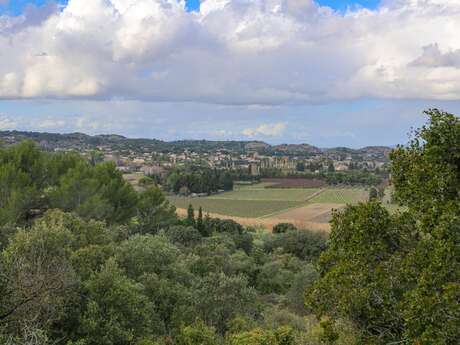 Randonnée entre vignes et chapelles