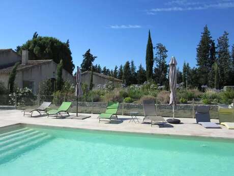 Les Courlis - Daudet