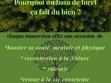 Bain de forêt
