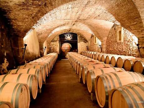 Discovery of the Château la Nerthe