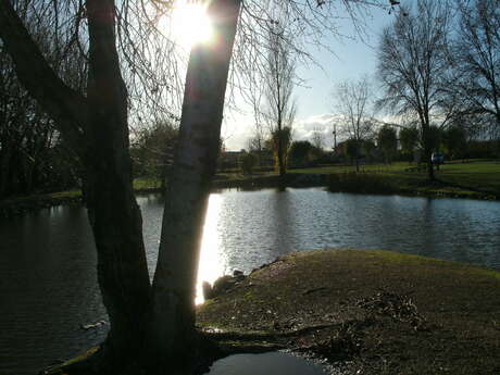 Picnic area -Lavit