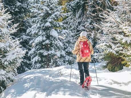 L'Arête de l'Evêque snowshoe trail