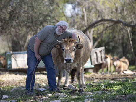 La Bambouseraie de Sulauze - Côté Réception