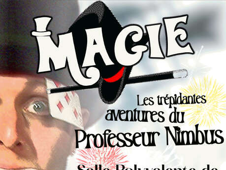 Magic show "The thrilling adventures of Professor Nimbus".