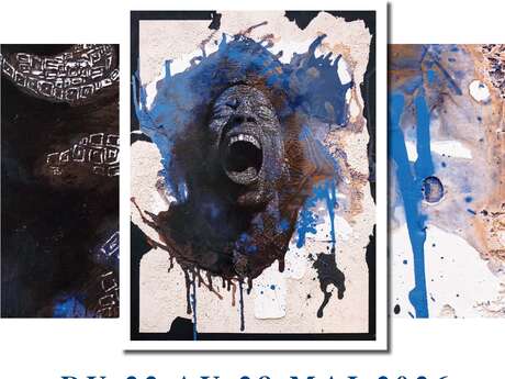 Exposition  Thierry Dieudonné