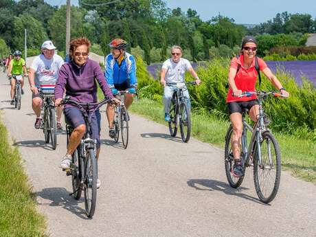 VTT n°1 - Boucle de la plaine du Rhône