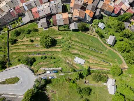 Visite guidée du Conservatoire-Jardin de la Châtaigneraie