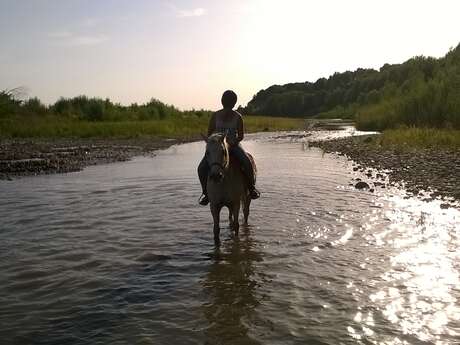 Balades à cheval et poney avec l'Elevage du Faci