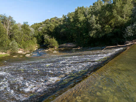 Ecluse sur l'Argens