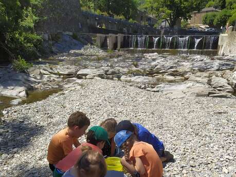 Animation Nature : Le Petit Peuple de l'Eau