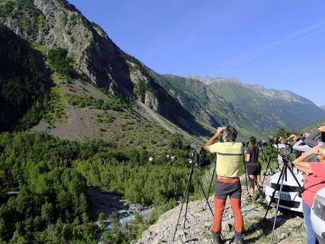 Fête de la nature : gypaètes et lac du Lauzon avec le Parc national des Ecrins