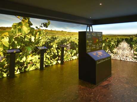 Le Parcours Découverte au Musée du Vin Maison Brotte
