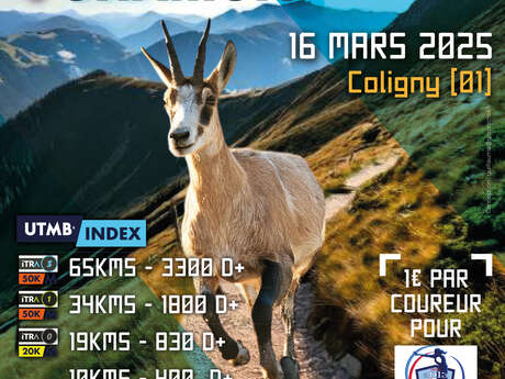 Trail des Chamois