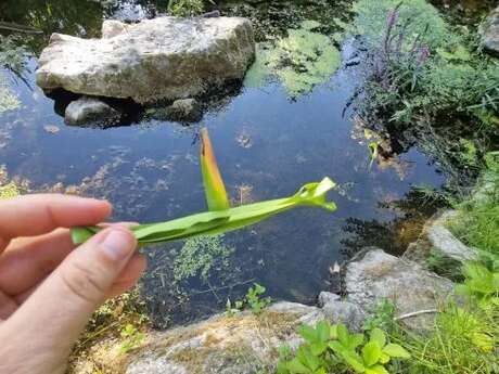 Les Ateliers des Babets : Au fil de l'eau
