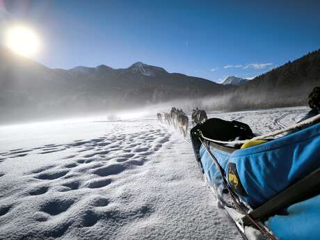Dogsledding experience - L'Empreinte nordique
