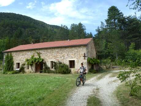 Le bois de l'Infernet à VTT (N°5)
