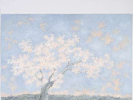 Atelier Galerie "Les Lumières du Vent" - Karibou