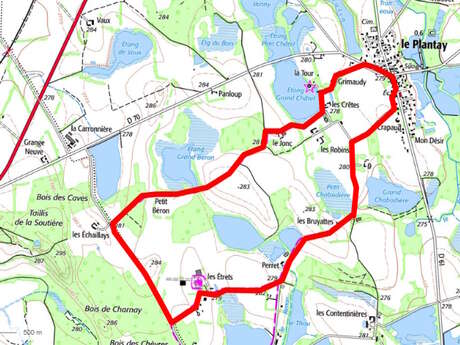 European walk in Dombes: let's talk about water resources, agriculture, fish farming and biodiversity!