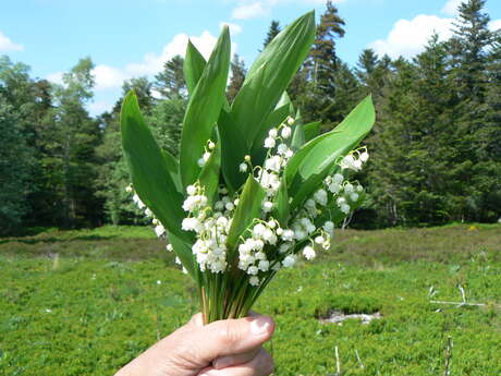 Ouverture de la saison 2026