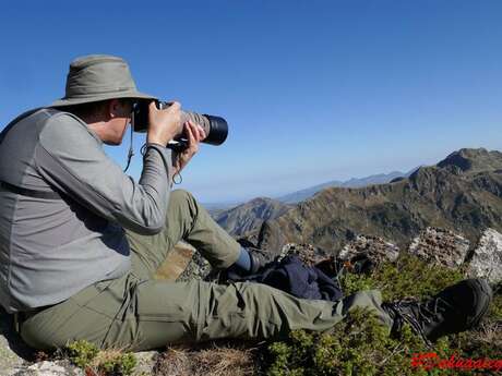 Pyrenees wildlife photo workshop with Dahu Ariégeois