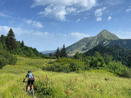 Supervised tour on enduro MTB or e-bike in the Abondance Valley