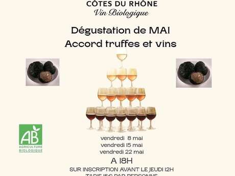 Wine and truffle pairing tasting Domaine du Faucon Doré